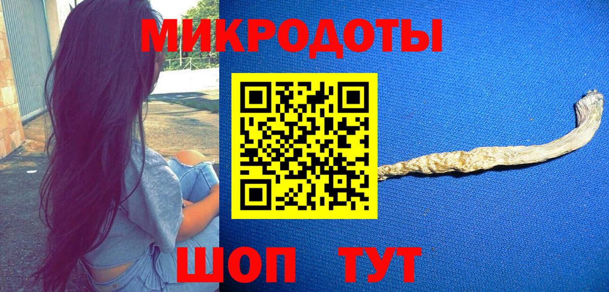 Галлюциногенные грибы Psilocybine cubensis Отрадное