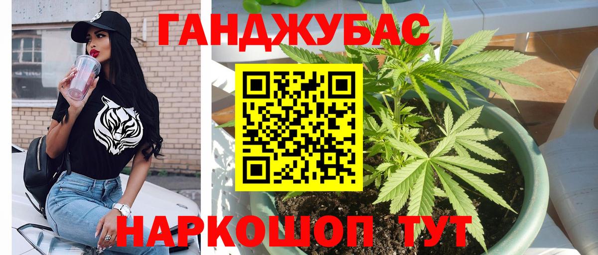 Канабис OG Kush  Каннабис ГИДРОПОН  Бошки марихуана семена  Отрадное  Бошки марихуана гибрид  Вход с VPN 